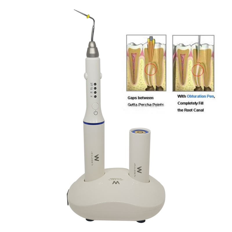 Rct Obturation Instruments at Donna Lahti blog