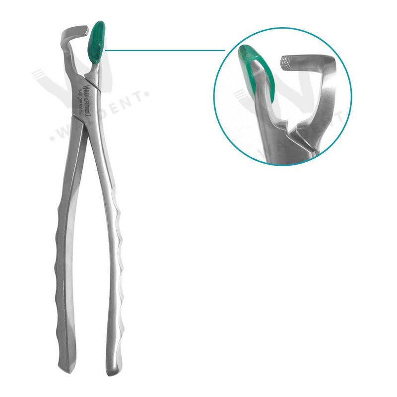 Waldent Physics Forceps Set of 2 K1/4