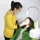 Waldent Eezee Portable Dental Chair