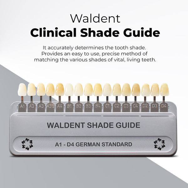 Waldent Clinical Shade Guide (German Standard)