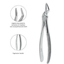 Waldent Tooth Extraction Forceps Upper Roots No.51A (1/106)