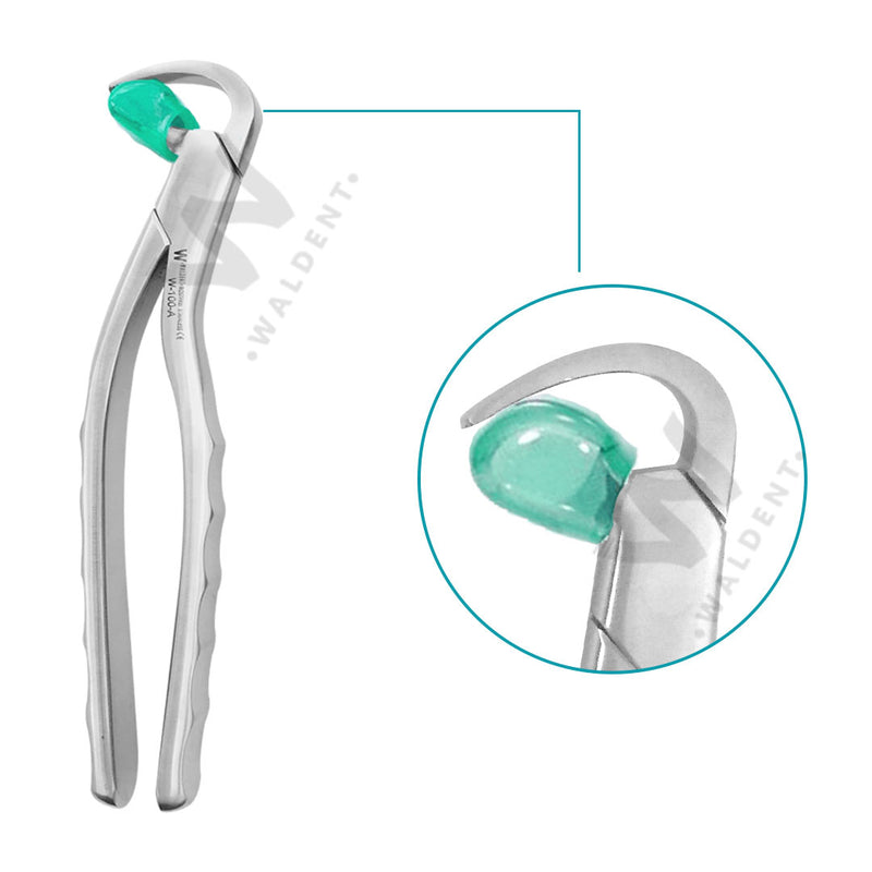 Waldent physics Forceps - Pack of 1