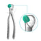 Waldent physics Forceps - Pack of 1