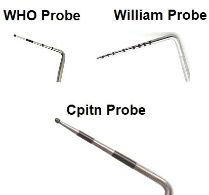 waldentprobe333.jpg?v=1571399423